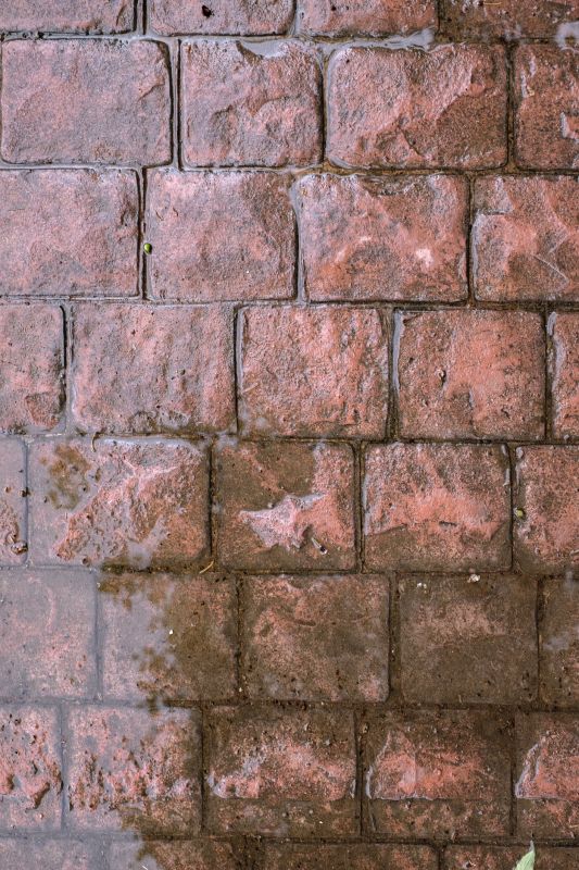 Decorative Concrete Repair in Corpus Christi, TX