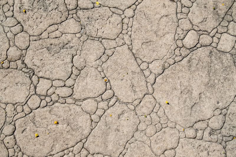 Decorative Concrete Repair in Denver County, CO